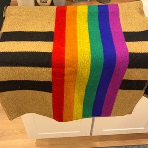 Burberry rainbow cape